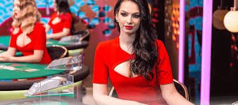 24 bet