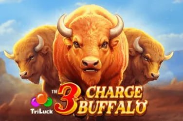 24 bet